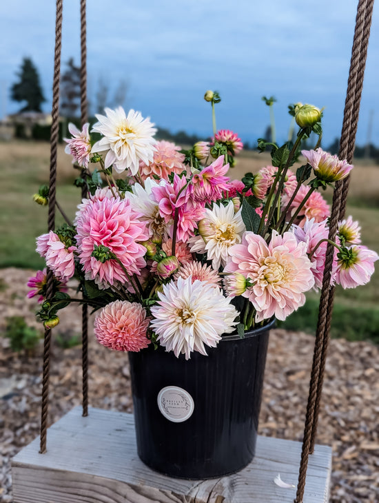 DIY Flower Buckets Dahlias Only