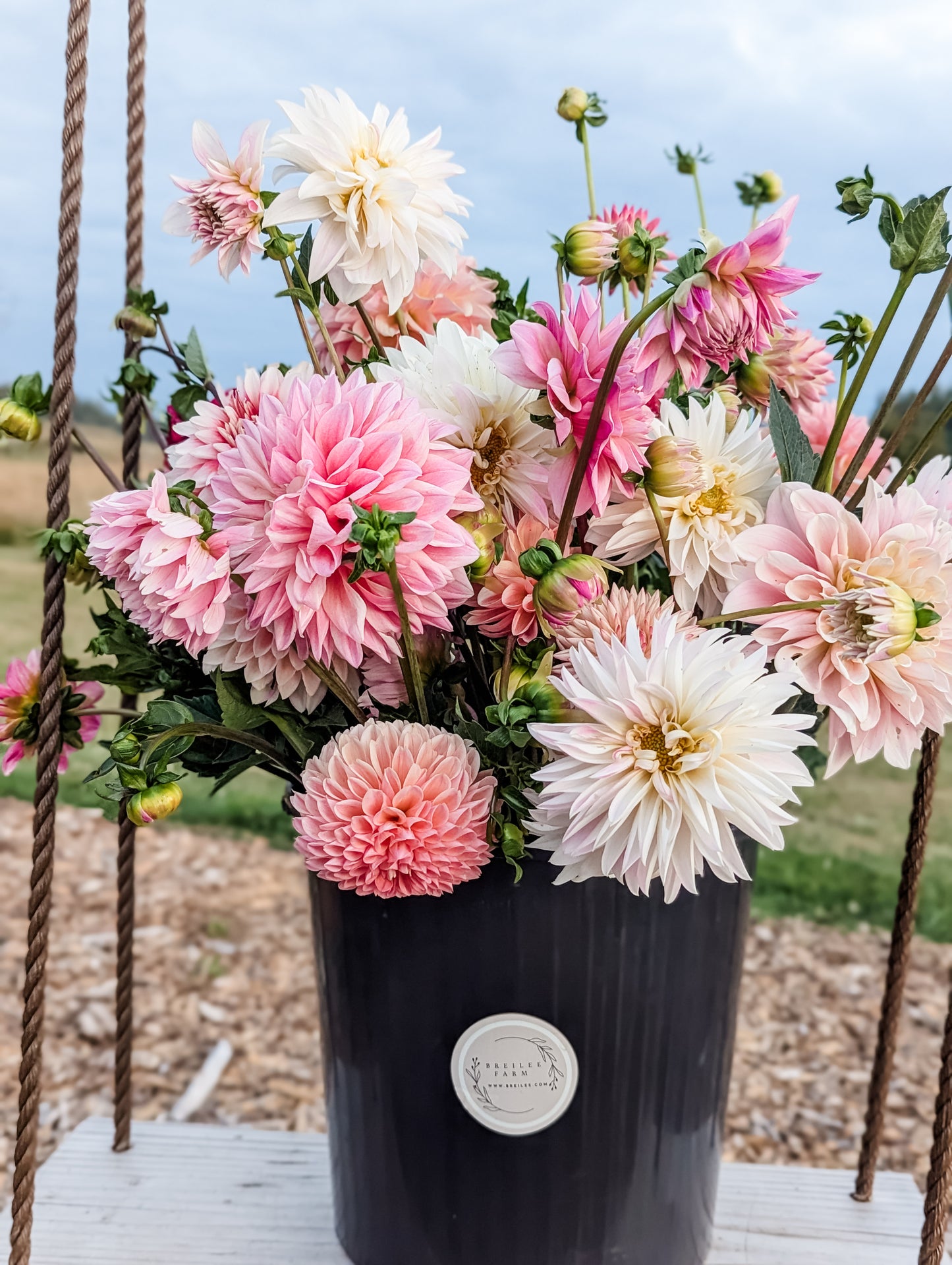 DIY Flower Buckets Dahlias Only